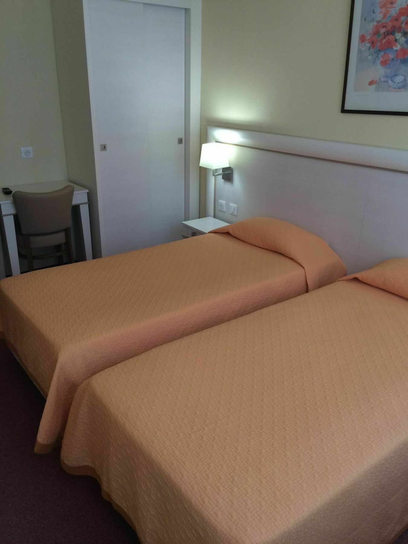 Hotel Elysee Lyon